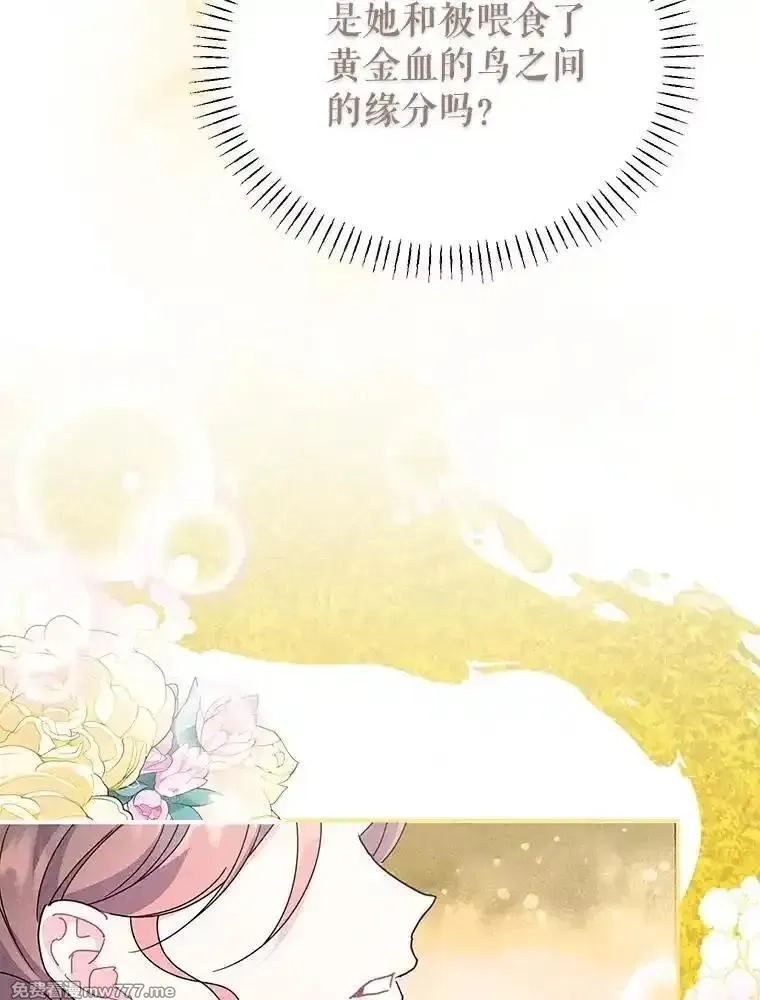 传令鸟皇女殿下,122.扰乱视线计划,第38张