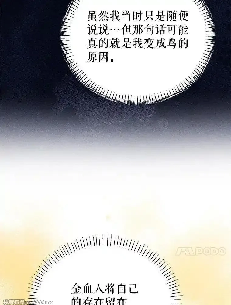 传令鸟皇女殿下,122.扰乱视线计划,第43张