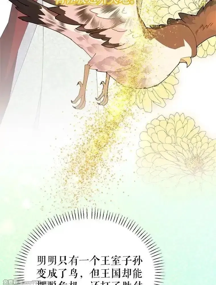 传令鸟皇女殿下,122.扰乱视线计划,第46张