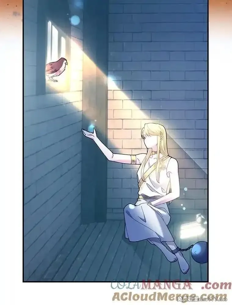 传令鸟皇女殿下,122.扰乱视线计划,第5张