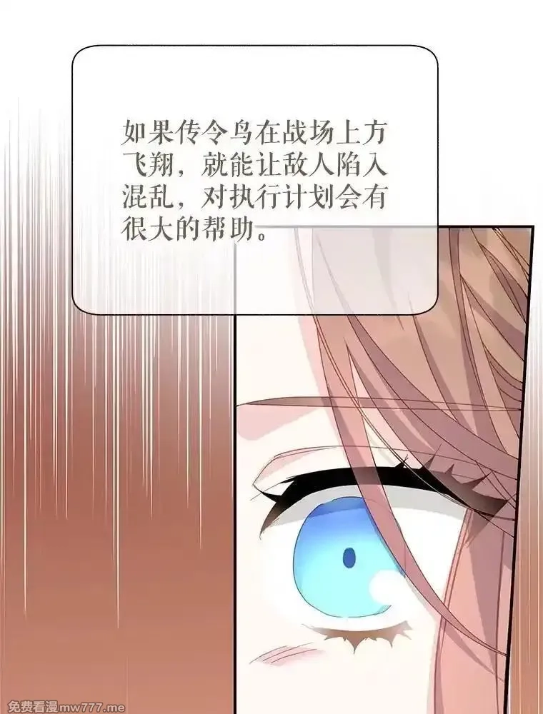 传令鸟皇女殿下,122.扰乱视线计划,第63张