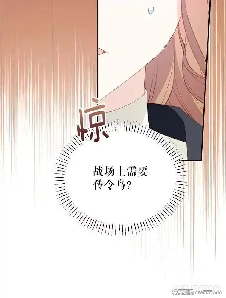 传令鸟皇女殿下,122.扰乱视线计划,第64张