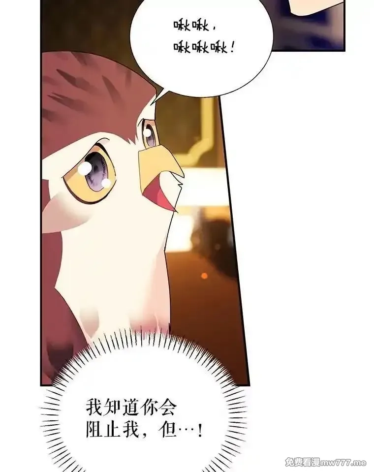 传令鸟皇女殿下,122.扰乱视线计划,第72张