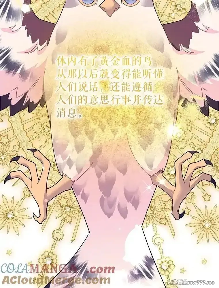 传令鸟皇女殿下,122.扰乱视线计划,第9张