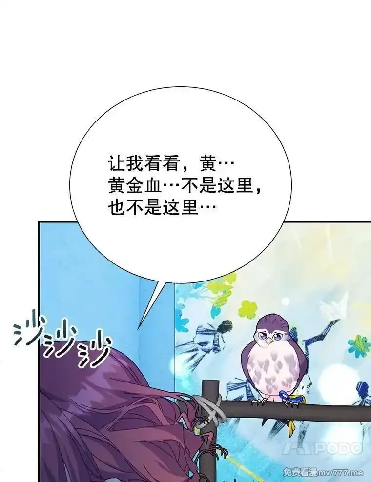 传令鸟皇女殿下,121.金血人和传令鸟,第39张