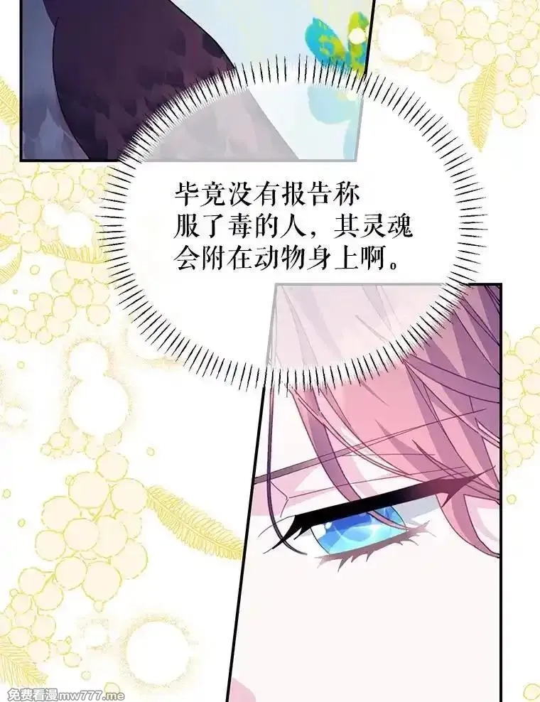 传令鸟皇女殿下,121.金血人和传令鸟,第42张