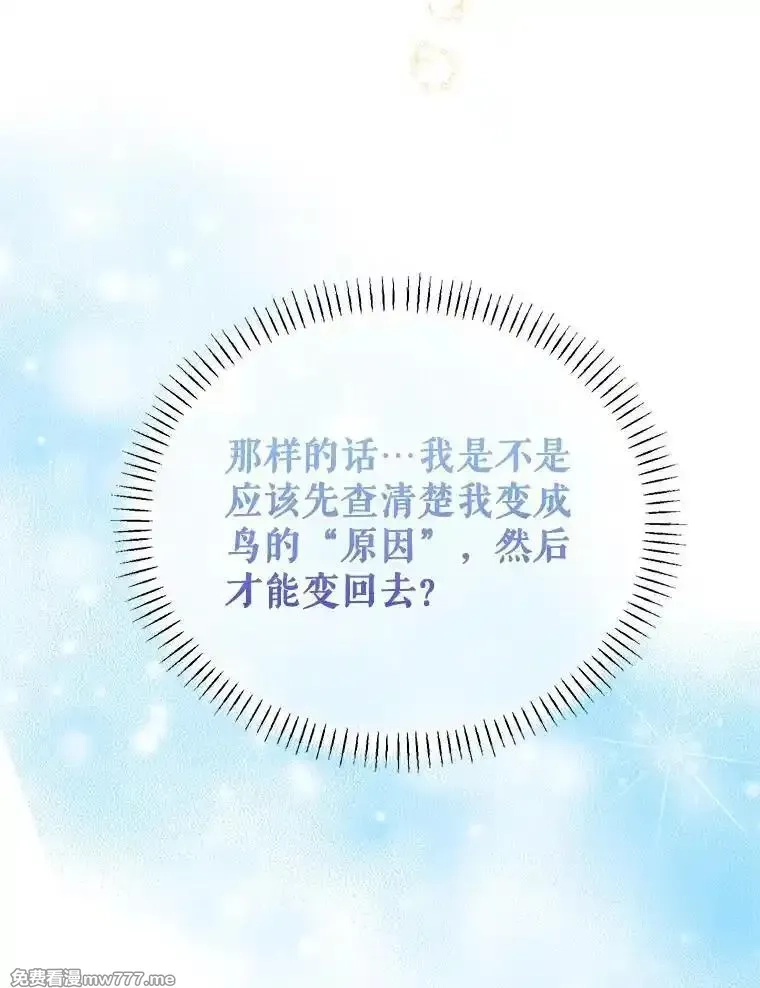 传令鸟皇女殿下,121.金血人和传令鸟,第44张