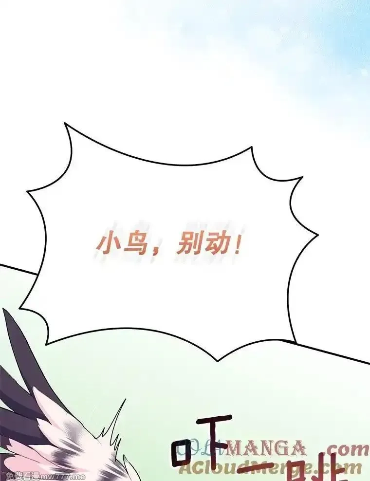 传令鸟皇女殿下,121.金血人和传令鸟,第45张