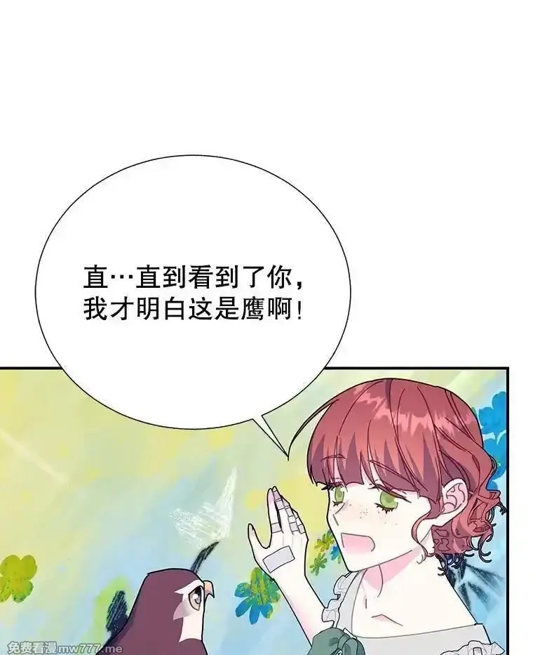 传令鸟皇女殿下,121.金血人和传令鸟,第62张