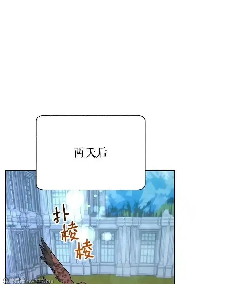 传令鸟皇女殿下,116.奇怪的传闻,第1张
