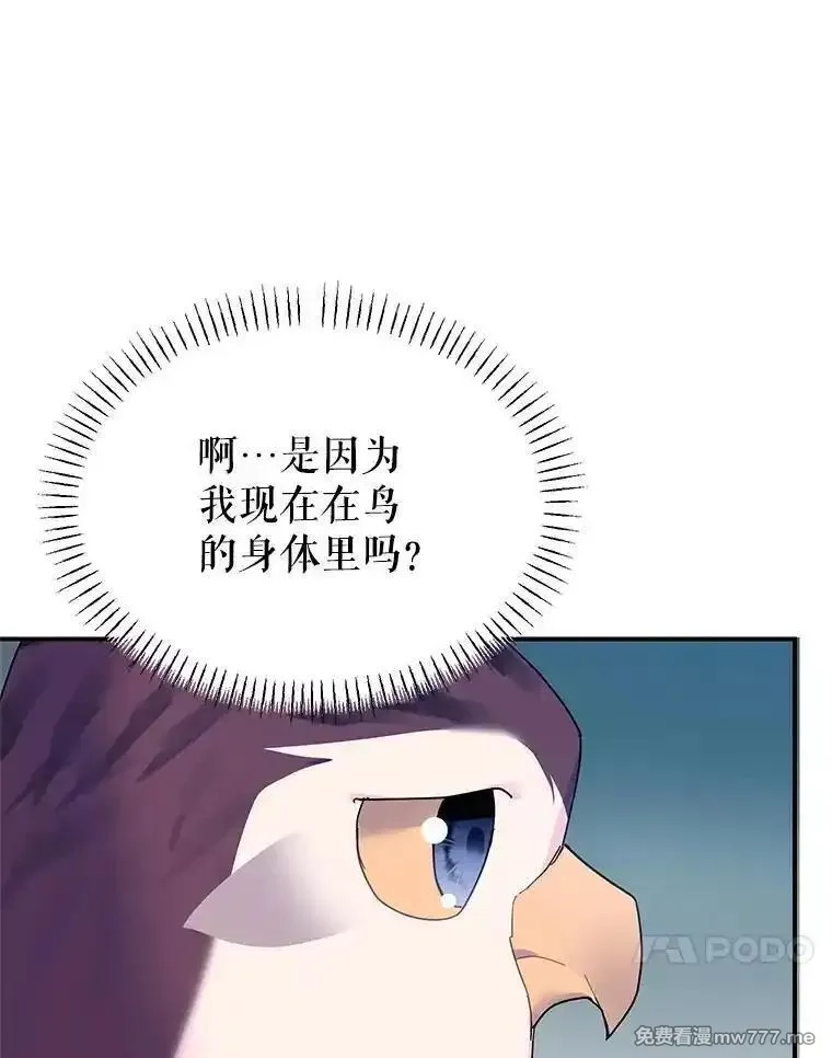传令鸟皇女殿下,116.奇怪的传闻,第21张