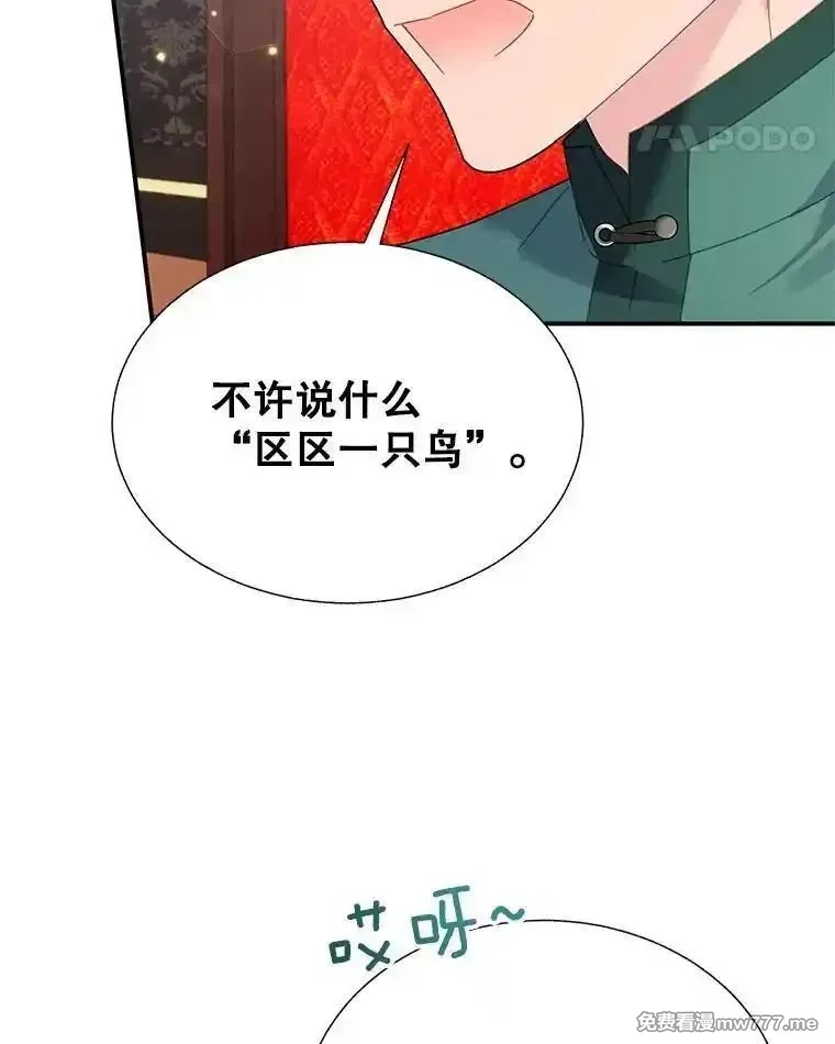 传令鸟皇女殿下,116.奇怪的传闻,第91张
