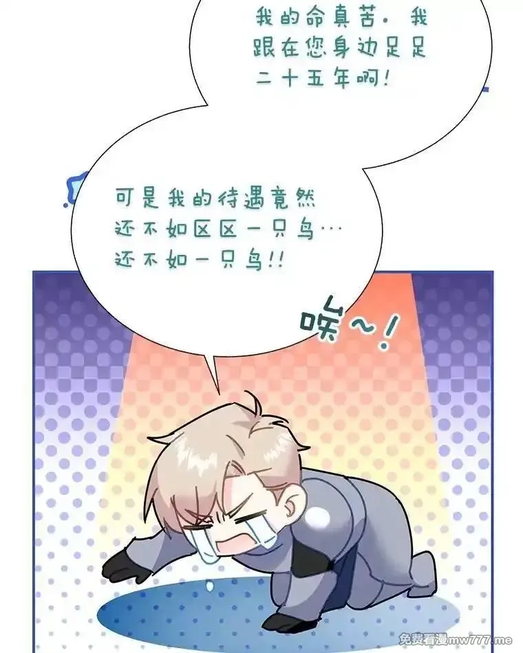 传令鸟皇女殿下,116.奇怪的传闻,第92张