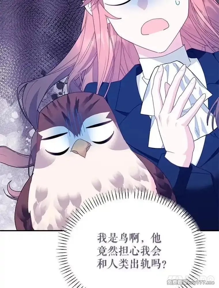 传令鸟皇女殿下,115.军粮所在地,第58张