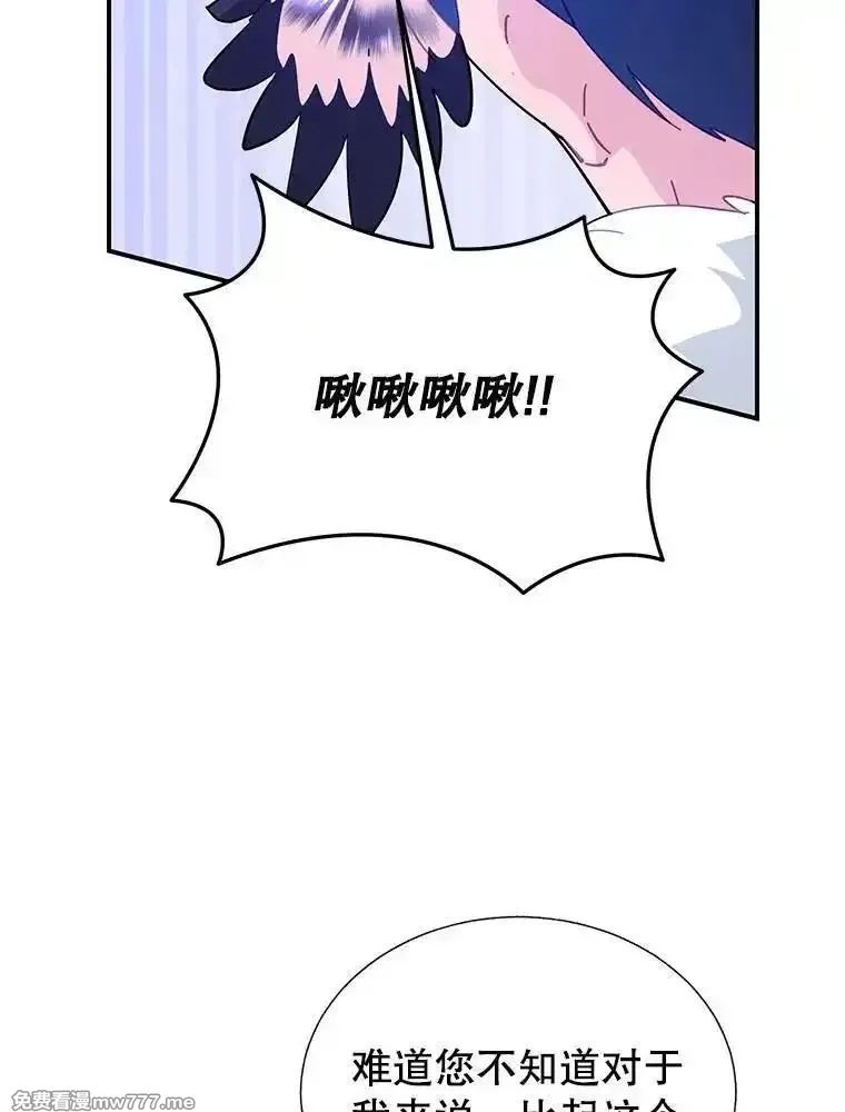 传令鸟皇女殿下,115.军粮所在地,第71张