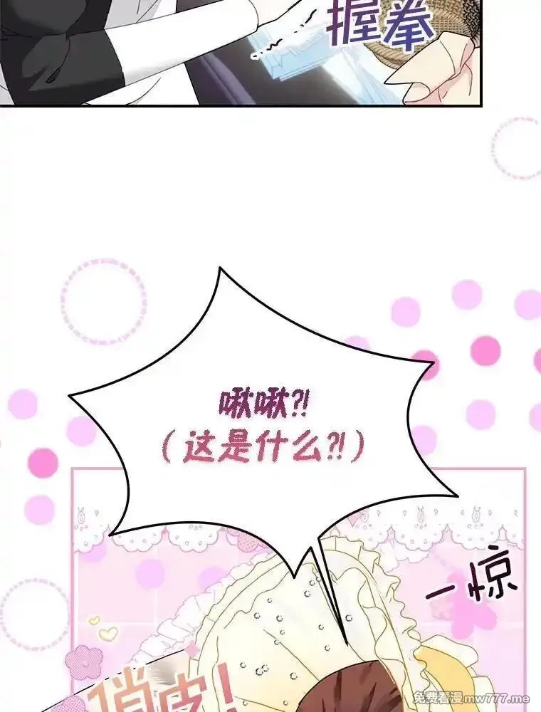 传令鸟皇女殿下,114.破解暗号,第19张