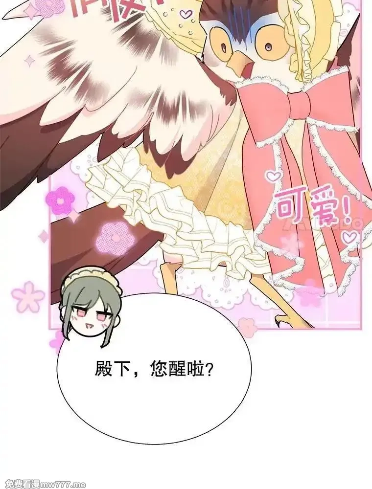 传令鸟皇女殿下,114.破解暗号,第20张