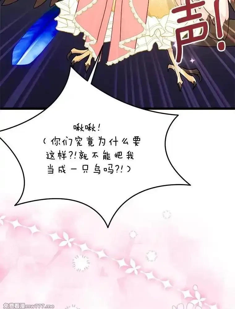 传令鸟皇女殿下,114.破解暗号,第22张