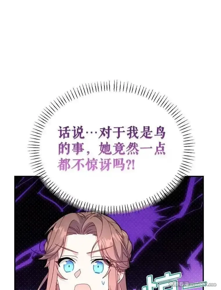传令鸟皇女殿下,114.破解暗号,第44张