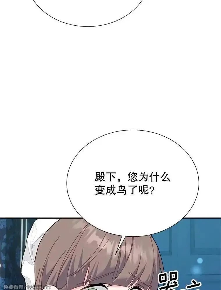 传令鸟皇女殿下,114.破解暗号,第48张