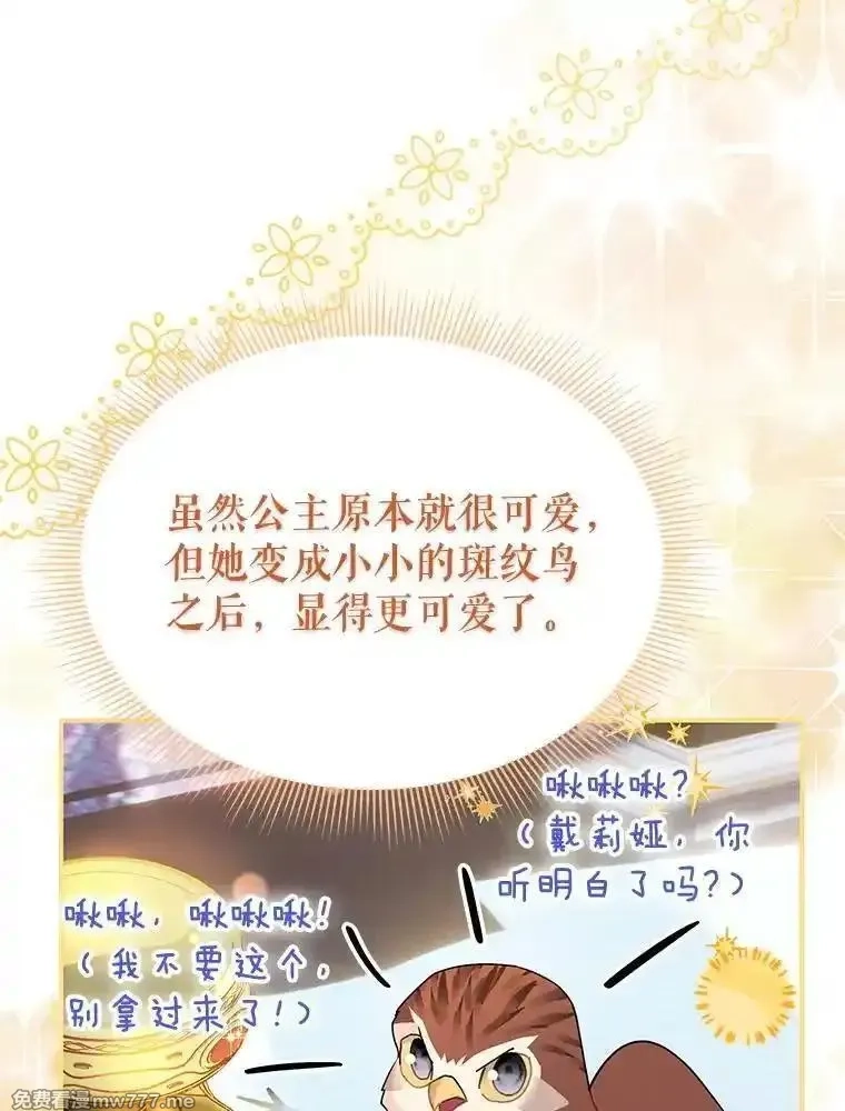 传令鸟皇女殿下,114.破解暗号,第6张