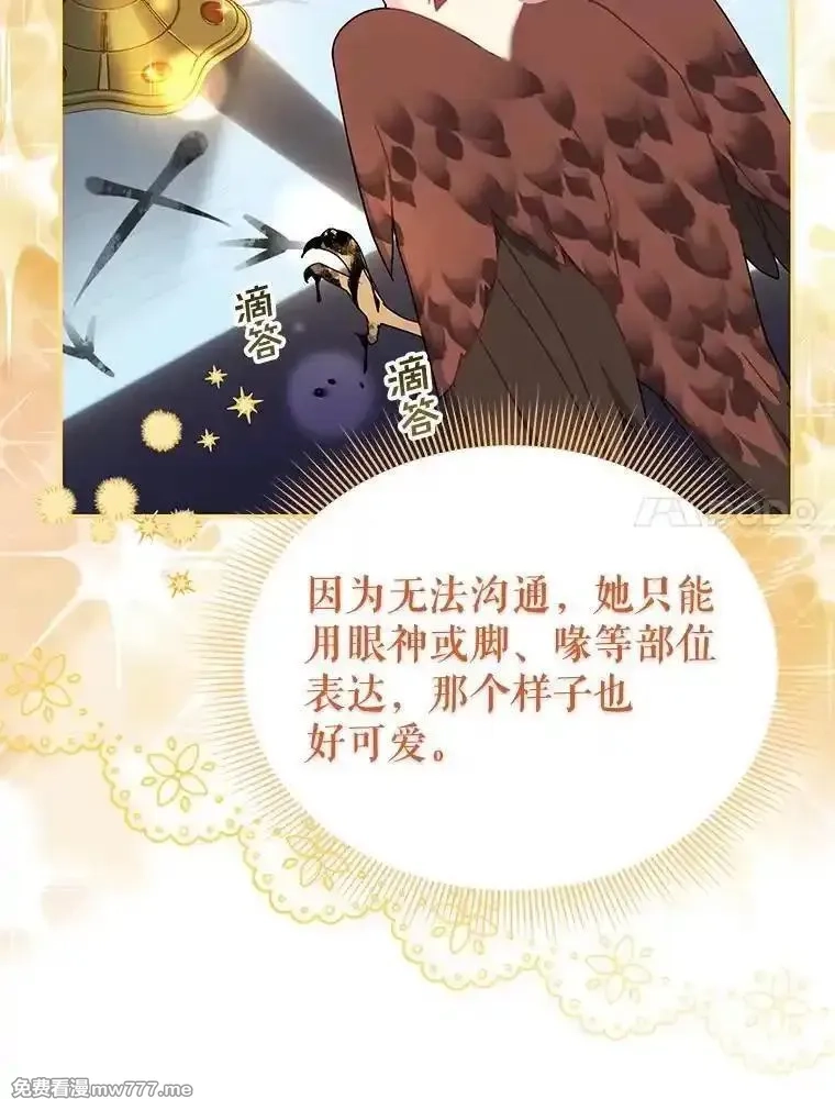 传令鸟皇女殿下,114.破解暗号,第7张