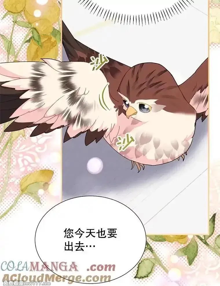传令鸟皇女殿下,114.破解暗号,第85张