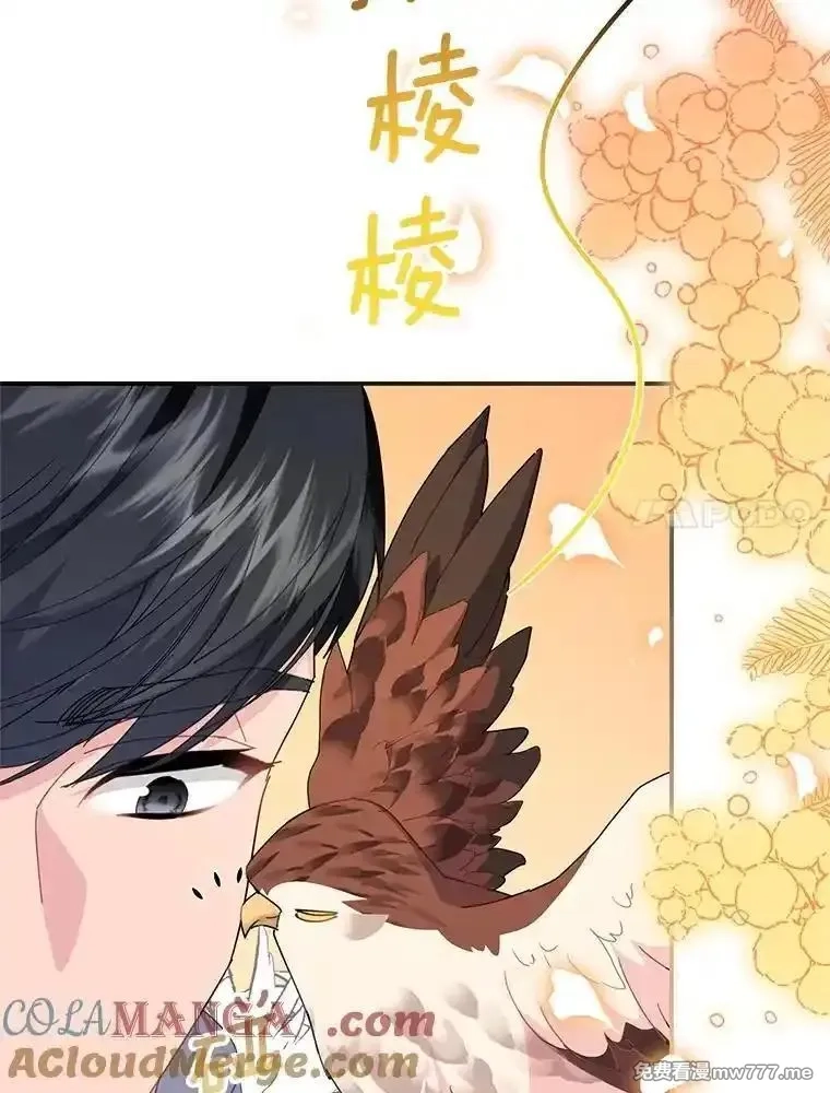 传令鸟皇女殿下,114.破解暗号,第97张