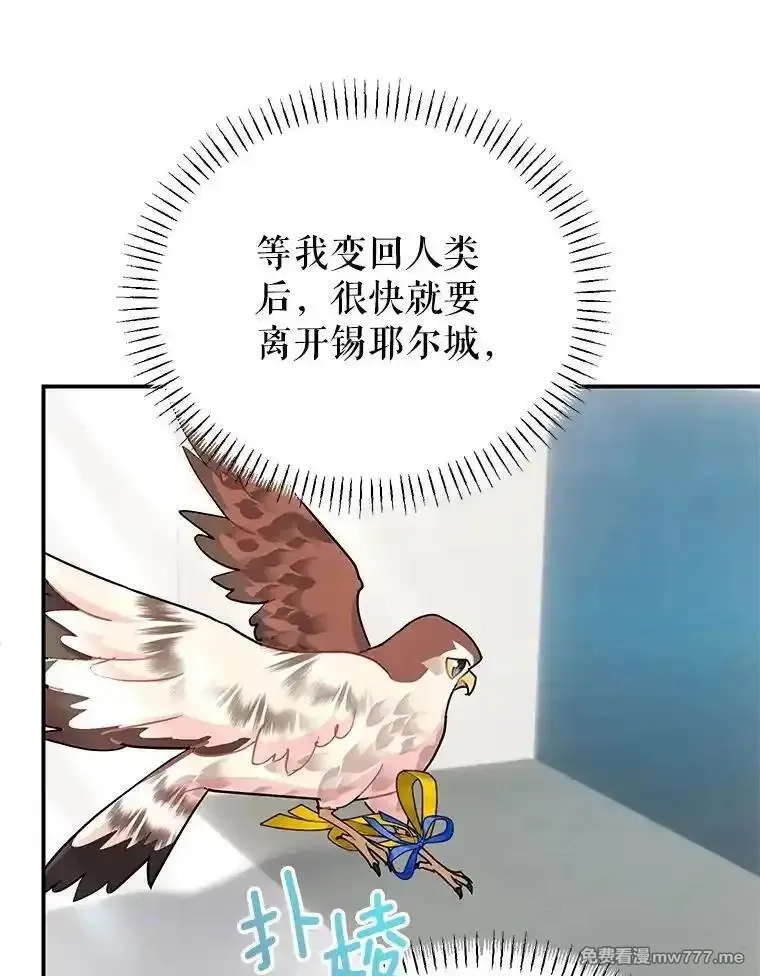 传令鸟皇女殿下,120.解毒剂,第74张
