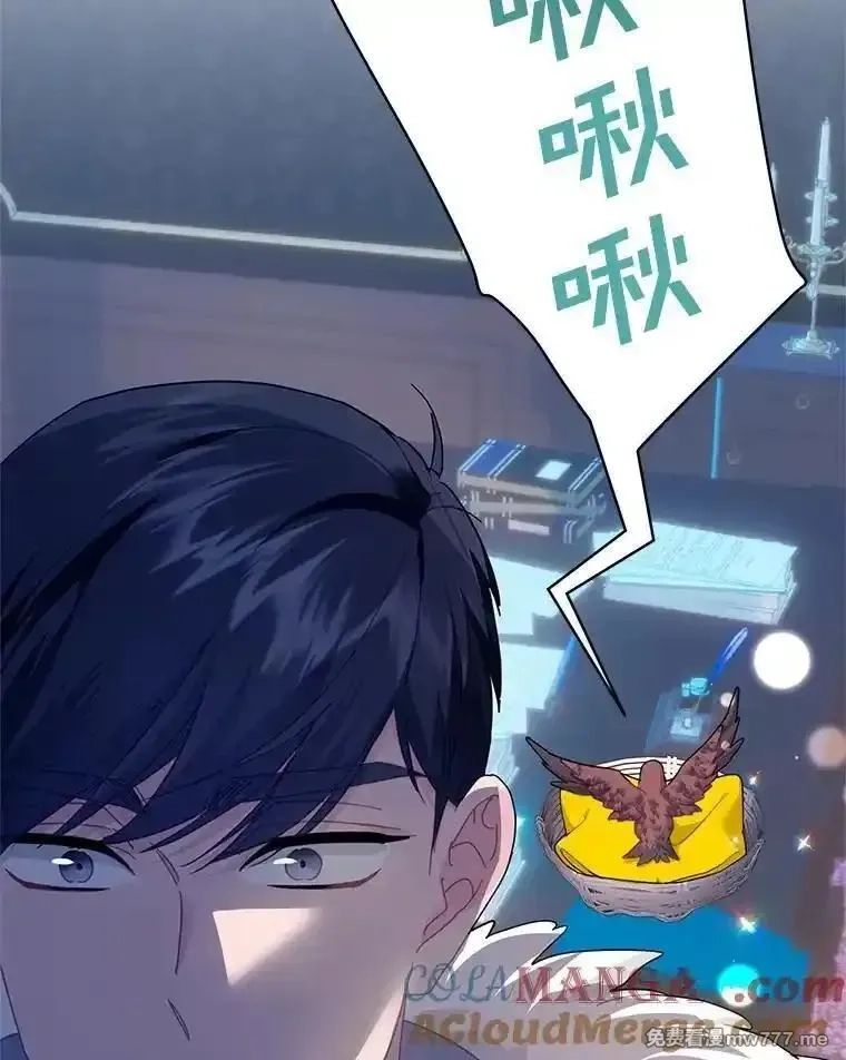 传令鸟皇女殿下,110.离开的四王子,第29张