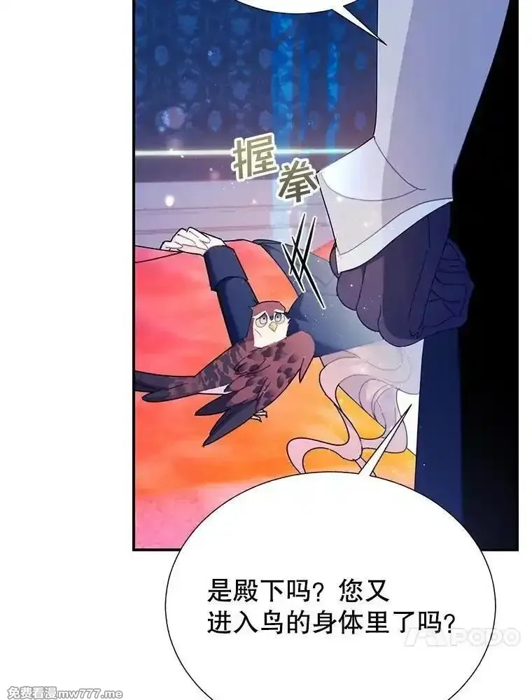 传令鸟皇女殿下,110.离开的四王子,第54张