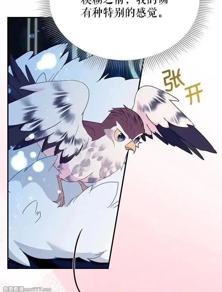 传令鸟皇女殿下,110.离开的四王子,第90张
