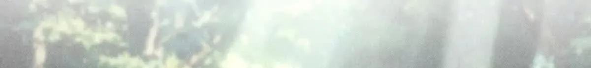 我的影子是萝莉,第16话 乌姆的诀意！,第55张