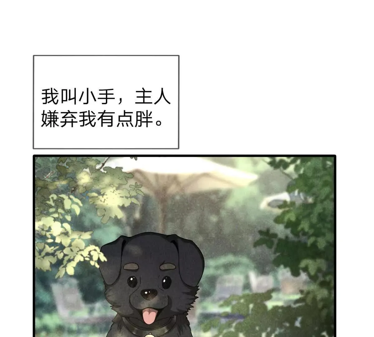 我的影子是萝莉,第26话 希尔瑞特留下的后手,第4张