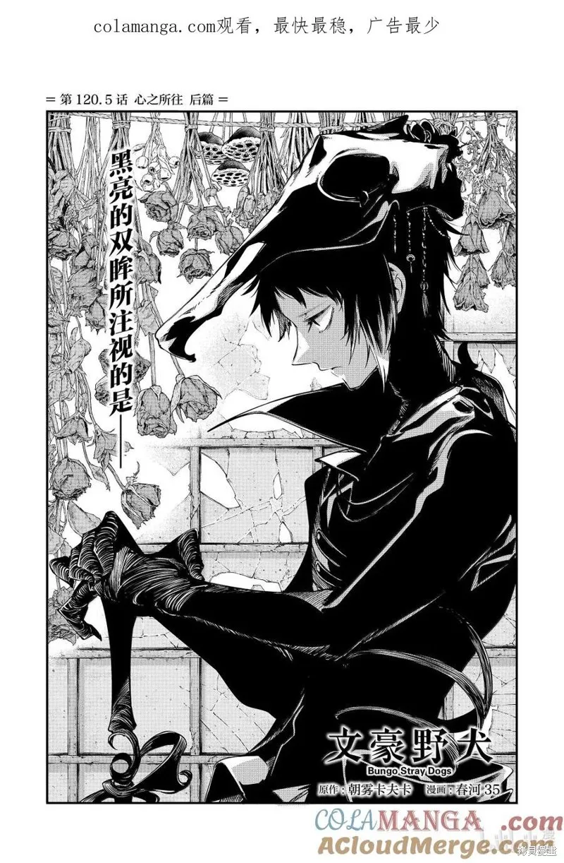 文豪野犬,第120.5話,第1张