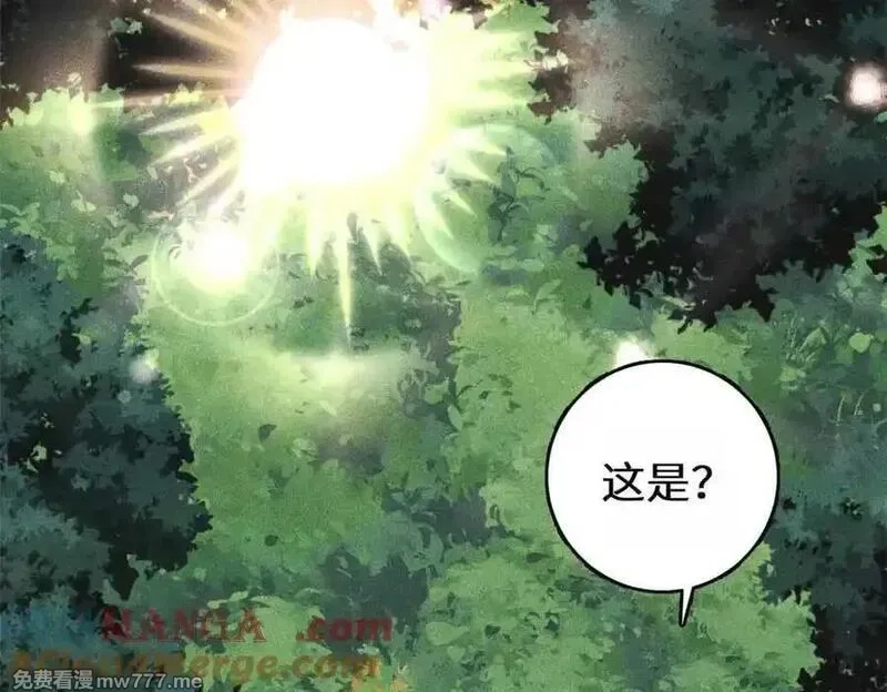 万古最强宗,395 老夫要开始扮猪吃虎了！,第65张