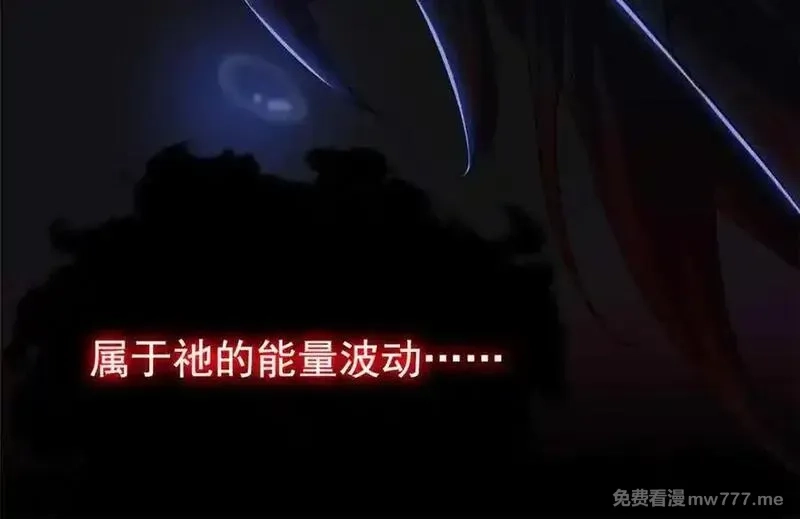从精神病院走出的强者,323 神阶以下，雷落成灰,第60张