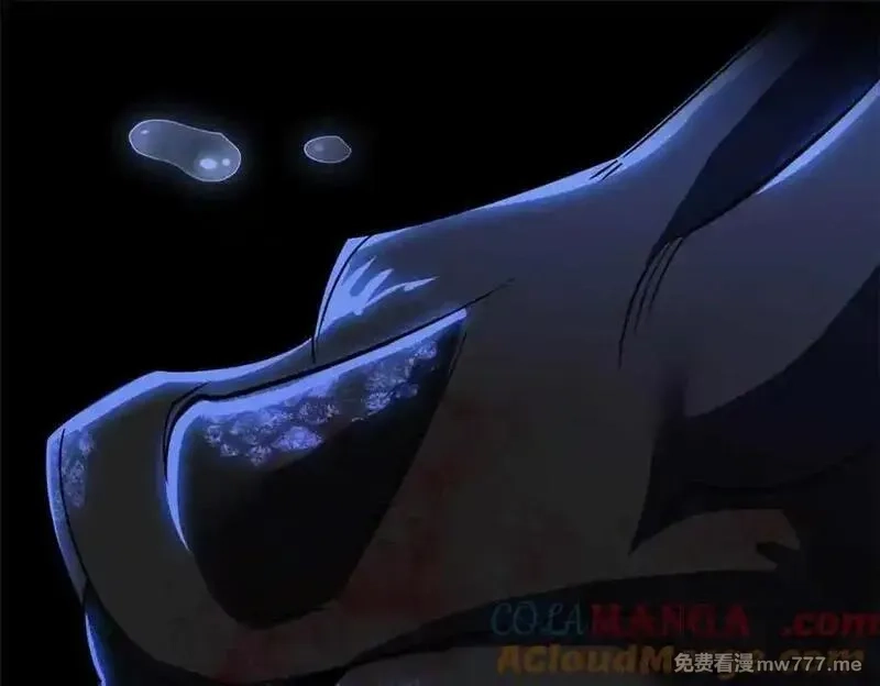 从精神病院走出的强者,323 神阶以下，雷落成灰,第61张