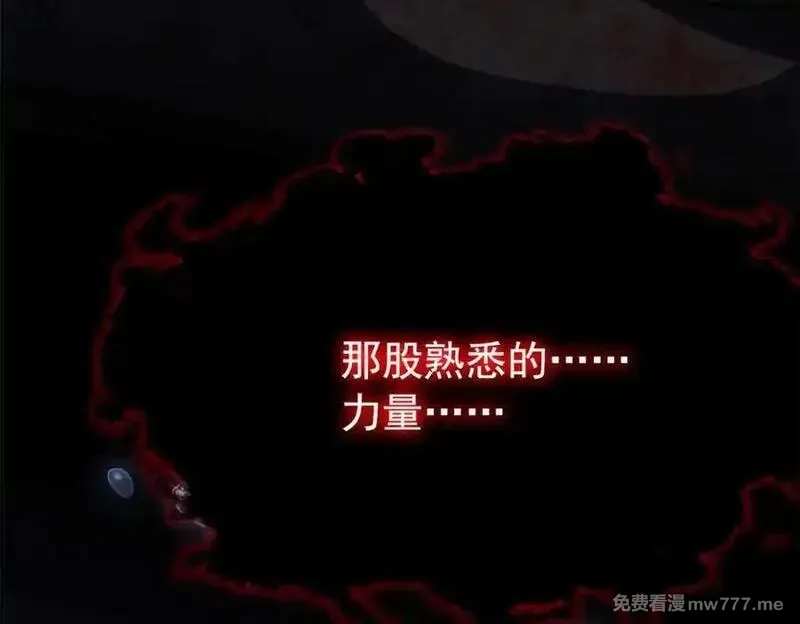 从精神病院走出的强者,323 神阶以下，雷落成灰,第63张