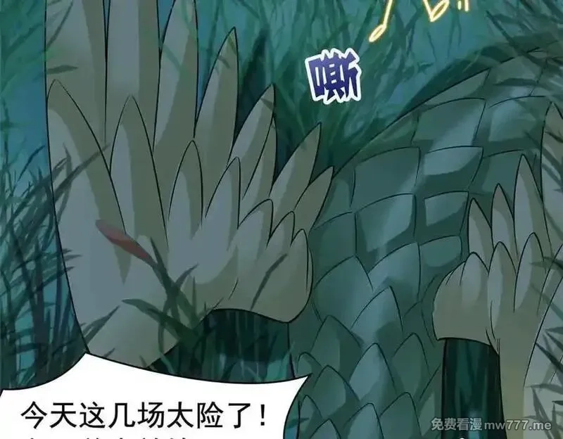 从精神病院走出的强者,323 神阶以下，雷落成灰,第90张