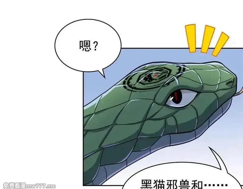 从精神病院走出的强者,323 神阶以下，雷落成灰,第99张
