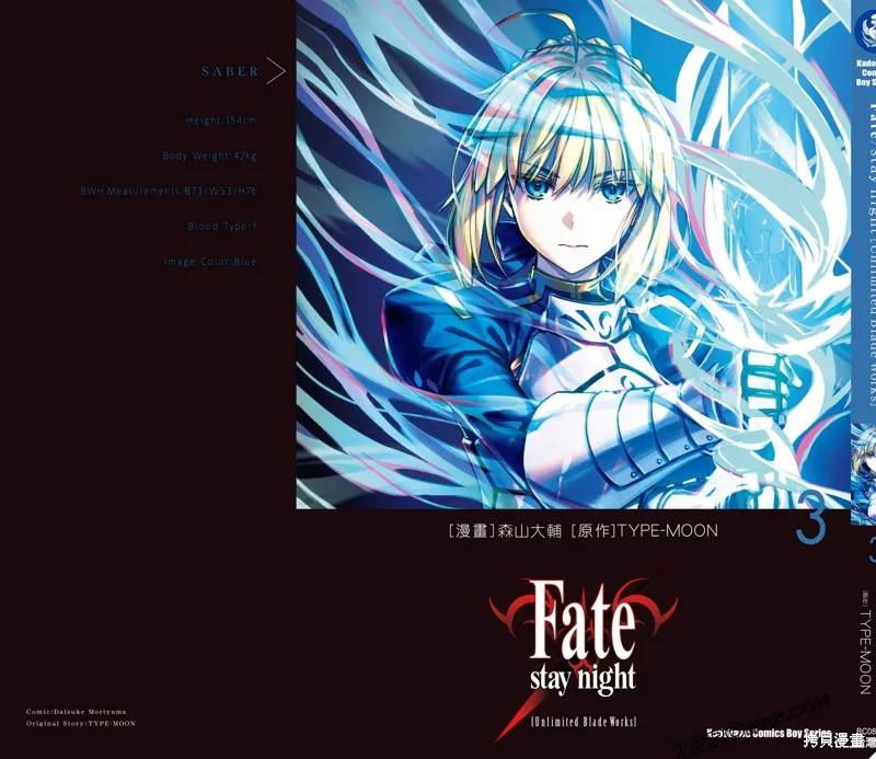 Fate/stay night [Unlimited Blade Works],第3卷,第180张
