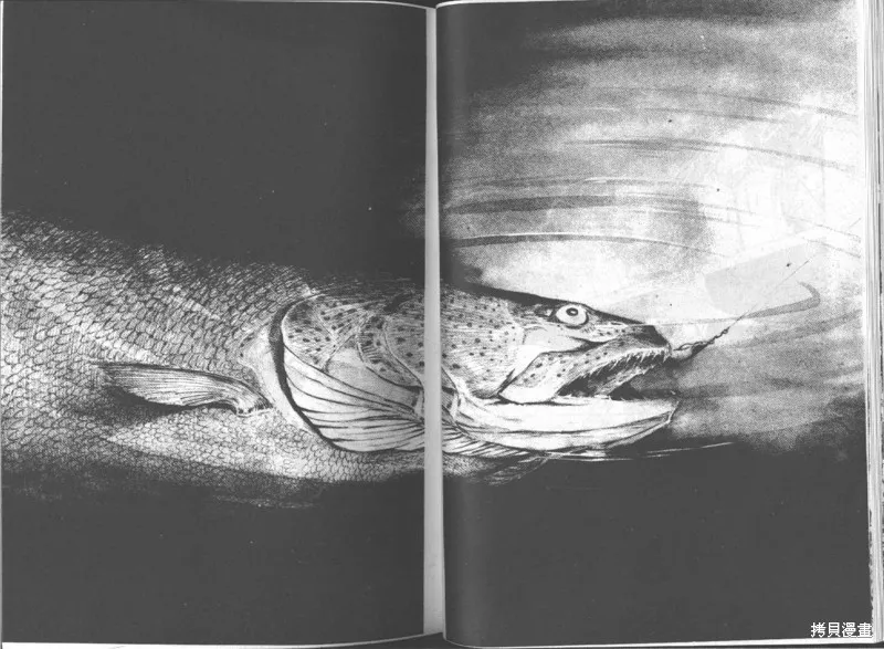 天才小釣手,VOL15,第35张