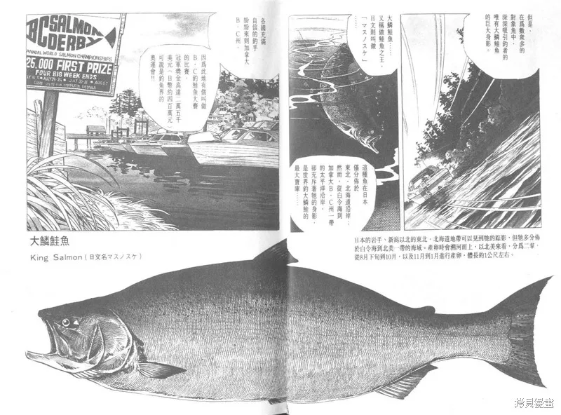 天才小釣手,VOL26,第5张