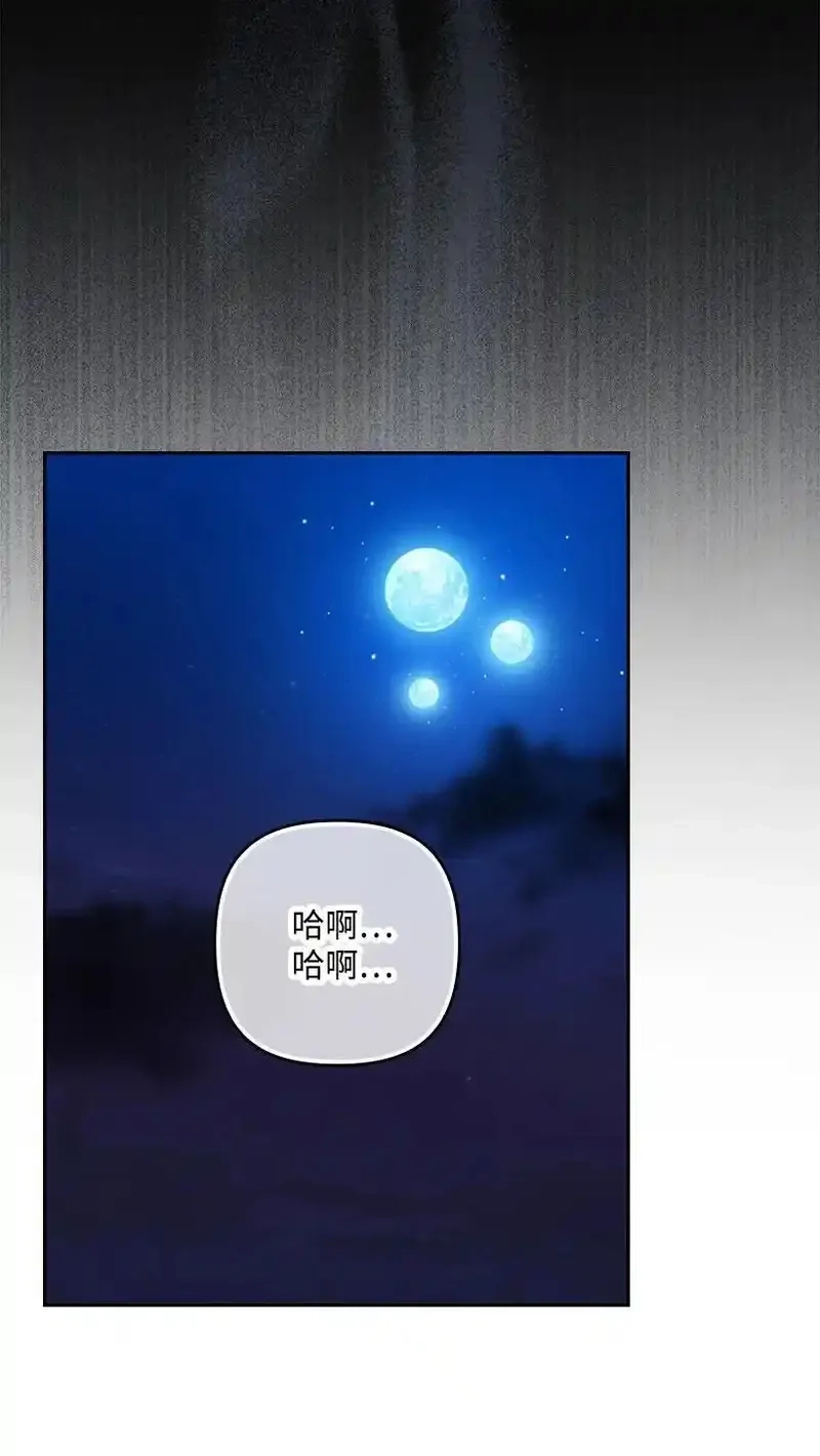 王的贡女,番外21 奇怪的线,第24张