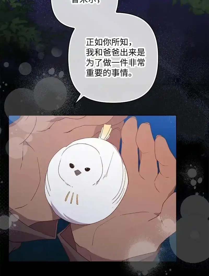 王的贡女,番外21 奇怪的线,第30张