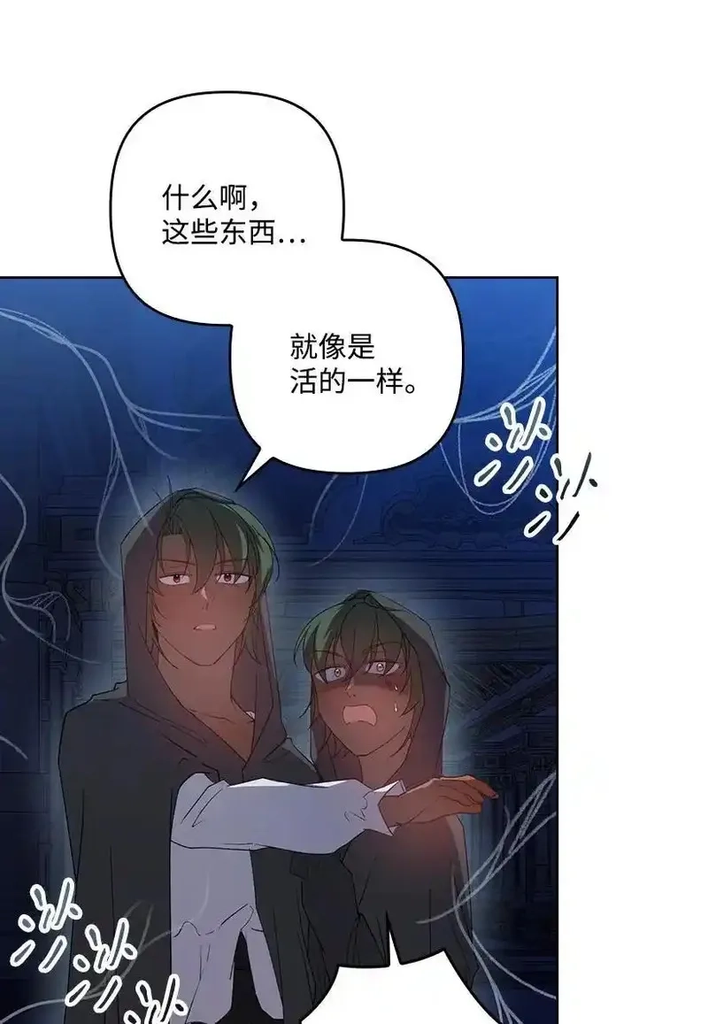 王的贡女,番外21 奇怪的线,第47张