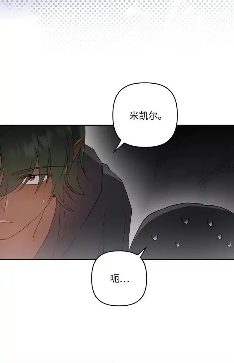 王的贡女,番外22 千钧一发,第51张