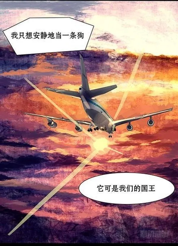 一条狗,第四十二话,第13张