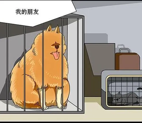 一条狗,第四十二话,第9张